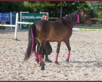 2-13JUIN 0091
